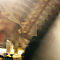 BACKSTAGE-LGN-MONGIN-SASHA-M9A8492-copie.jpg