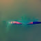 SASHA-MONGIN-TROPIK-M9A0317.jpg