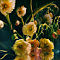 M9A9980-copie-V2.jpg